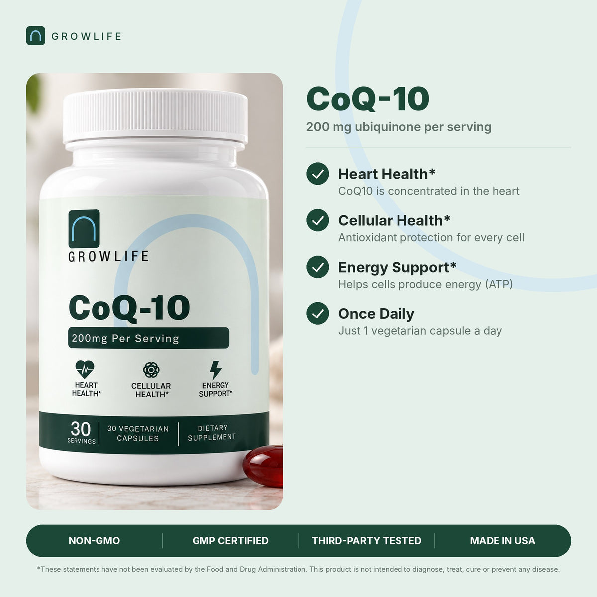 CoQ10 (Ubiquinone)