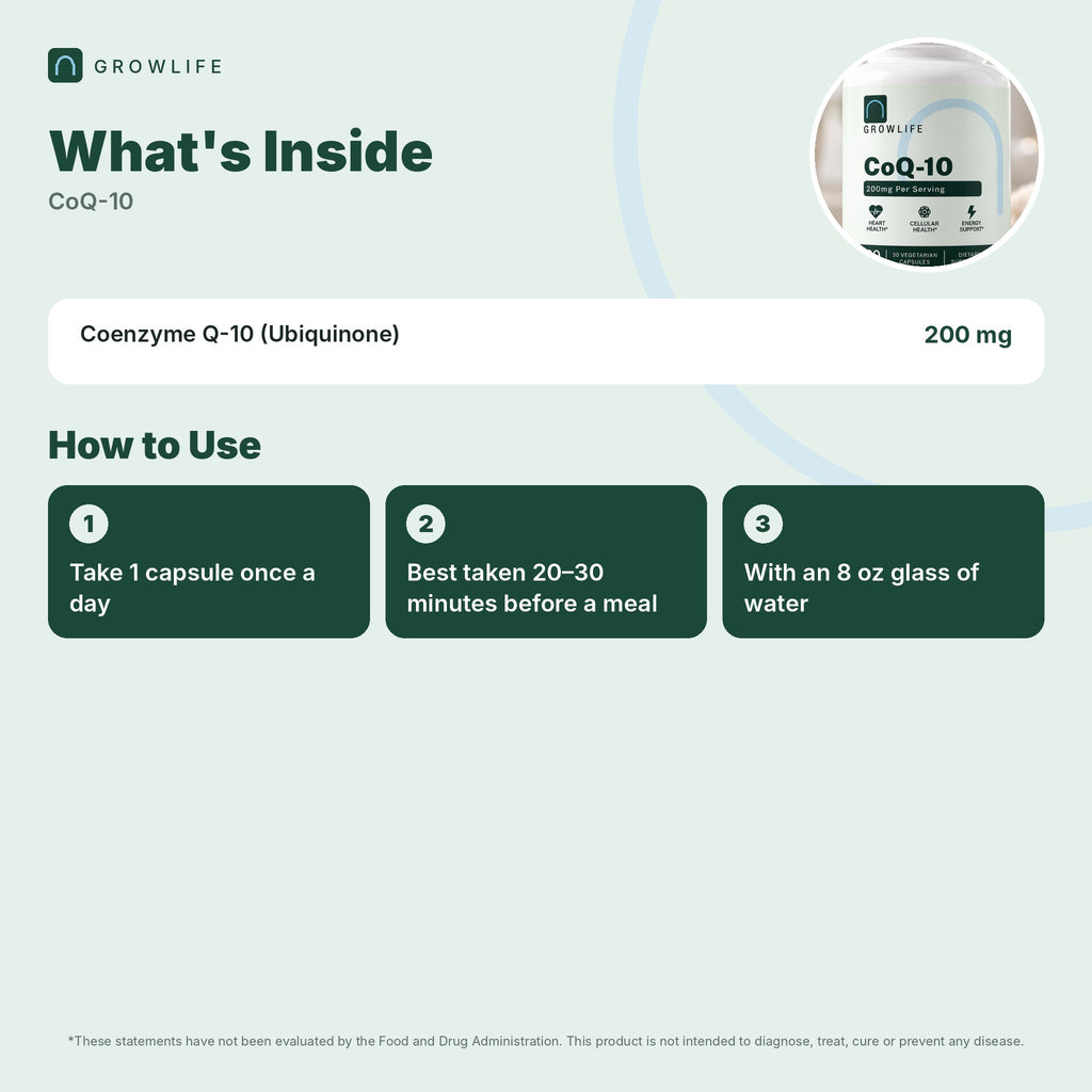 CoQ10 (Ubiquinone)