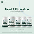 Heart & Circulation Bundle